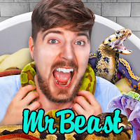 MrBeast - Funniest Videos