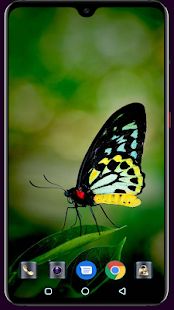 Butterfly Wallpaper 4K Latest 1.013 APK screenshots 11