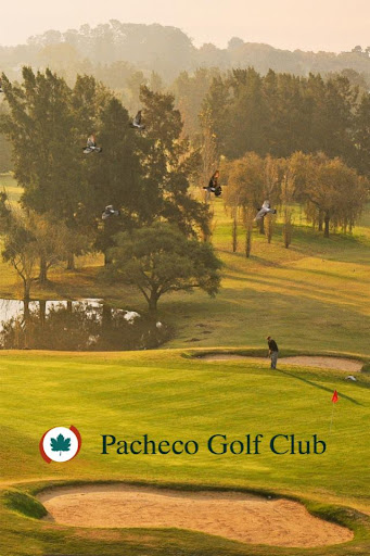 Pacheco Golf