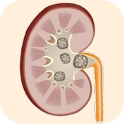'Kidney Stone Symptoms & Treatment' official application icon