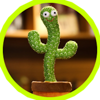 الصبارة الراقصة Dancing Cactus