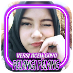 Cover Image of Descargar Pelangi Pelangi Versi Aceh Gayo Remix Off + Bonus Pelangi Pelangi Versi Aceh Gay APK
