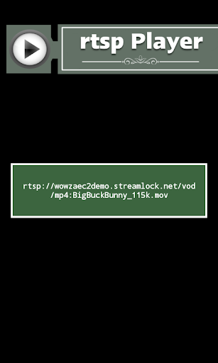 rtsp Player Screen 3