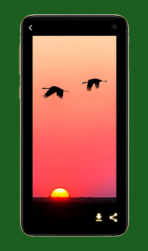 Android application Sunset Wallpapers HD screenshort