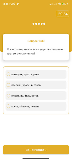 Тесты Литература Screen 3