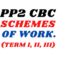 PP2 All Schemes of work.