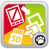 SD Card Organizer icon