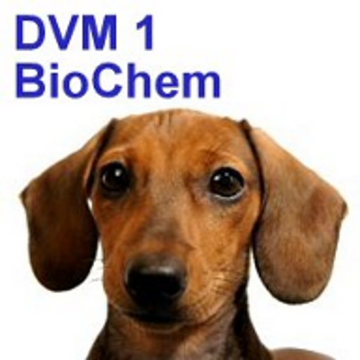 DVM 1st Yr Quiz - Biochemistry 3.04 Icon