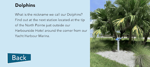 Scout About South Seas