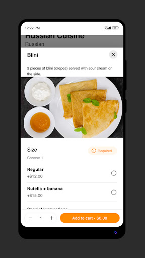 Nursel Asian-Russian Cuisine