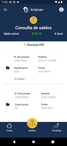 Avigrupo México Screen 3