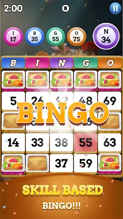 Game screenshot Bingo Trip mod apk