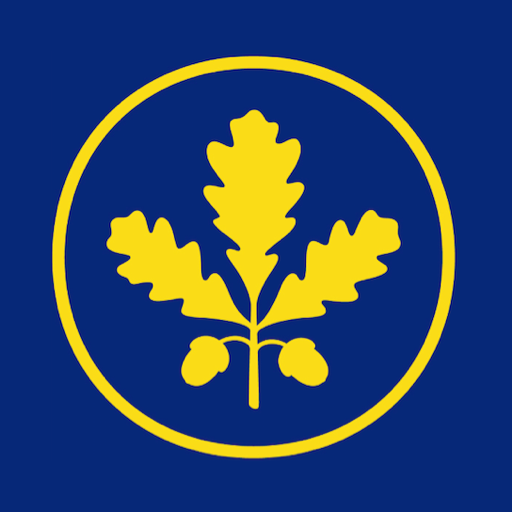 Colegio Andino logo