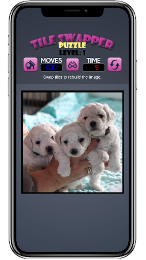 TileSwapper - Classic Screen 3