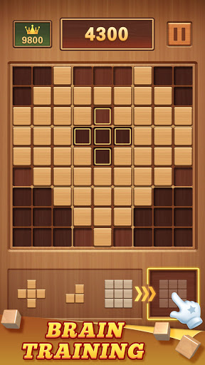 Wood Block 99 - Wooden Sudoku Puzzle 2.1.14 screenshots 13