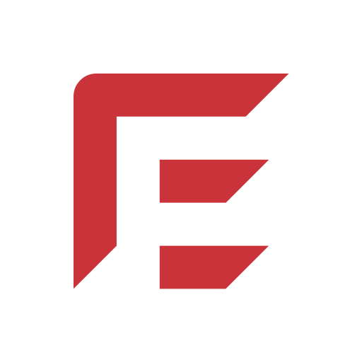 EFE Logo