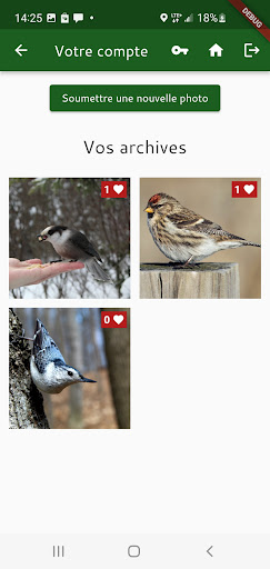 Belles photos doiseaux Screen 2