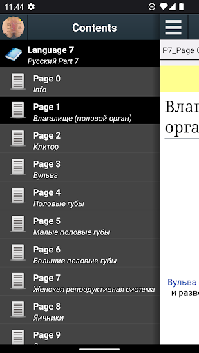 Предварительный просмотр приложения
