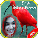 Birds Photo Frames HD New icon
