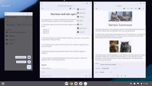 Screenshot of Text Editor