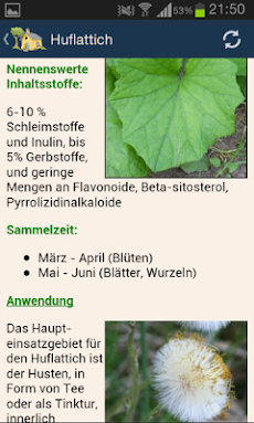 Heilpflanzen / Heilkräuterのおすすめ画像3
