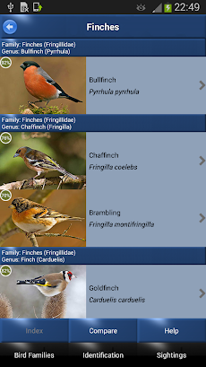 Bird Id - British Birdsのおすすめ画像3