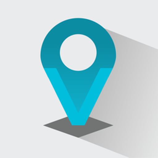 VisualSat logo