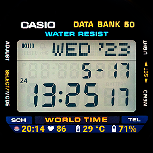 CASIO Data Bank LCD Watch Face logo