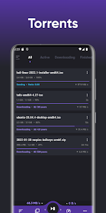 nzb360 – Sonarr / Radarr / SAB MOD APK (Pro desbloqueado) 4