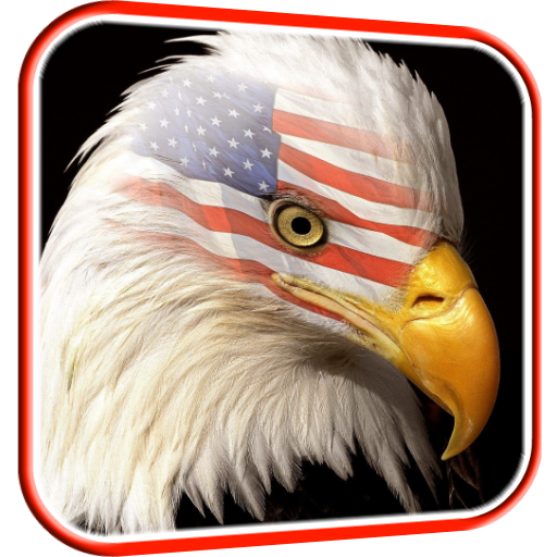 USA Eagle Live Wallpaper