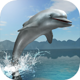 Dolphin Survival Simulator icon