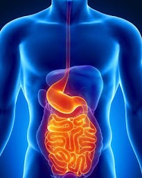 Digestion & Stomach Problems
