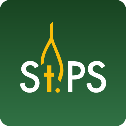 St. Patrick School  Icon