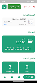 Salik Driver