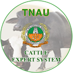 Cattle Expert System Apk