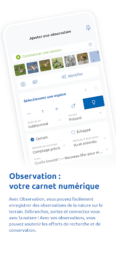 Aperçu de l'application