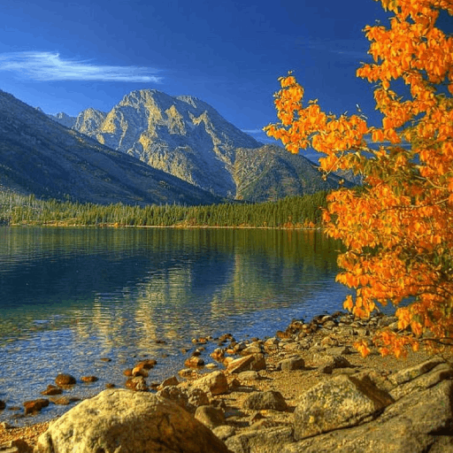Natural Wallpapers Photos logo