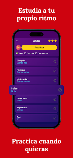 Aprender turco - principiantes screenshot 3