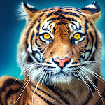 Cover Image of Télécharger Tiger Games 2023  APK