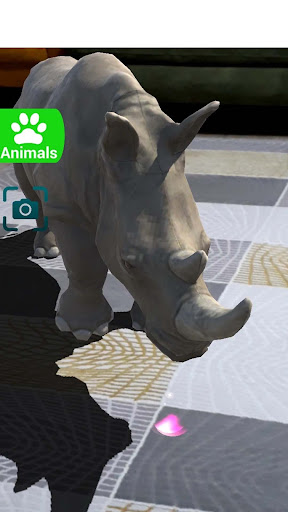 AR 3D Animals Screen 3