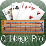 Cover Image of Download Cribbage Pro  APK