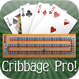 Cribbage Pro icon