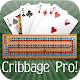 Cribbage Pro विंडोज़ पर डाउनलोड करें