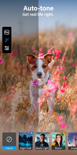 Photoshop Camera Photo Filters banner