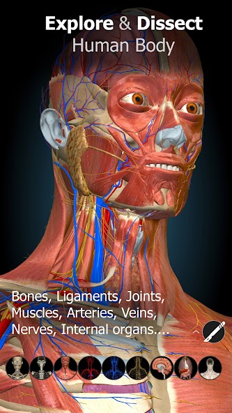 Anatomy Learning - 3D Anatomy 2.1.421 APK + Mod (Unlocked / Full) for Android