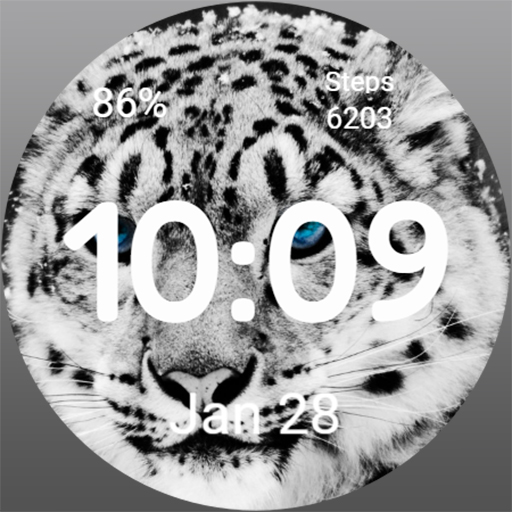 Watch Face - Serious Cat Download on Windows
