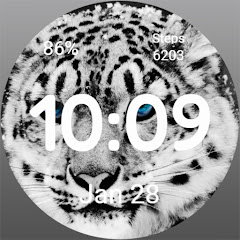 Icon image