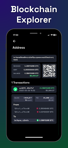Bitcoin Tracker Price and Stats