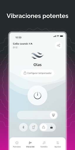 Vista previa de la aplicación