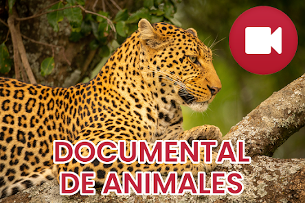 Imagen de la captura de pantalla